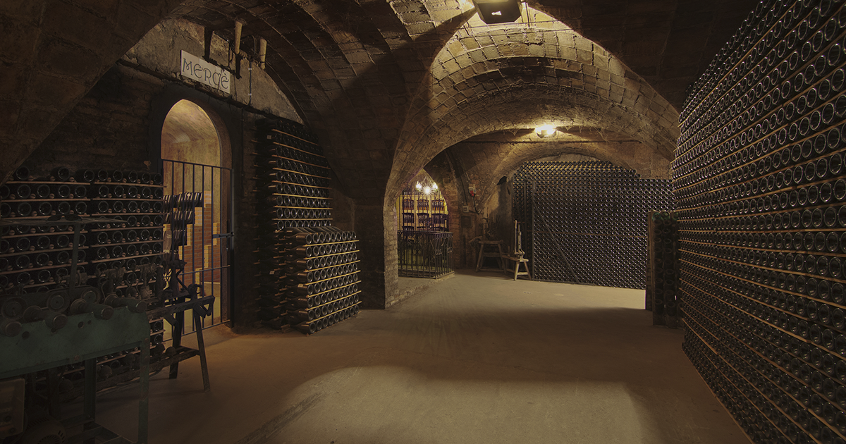 Cavas subterráneas del Penedès con botellas en riddling rack — el método tradicional